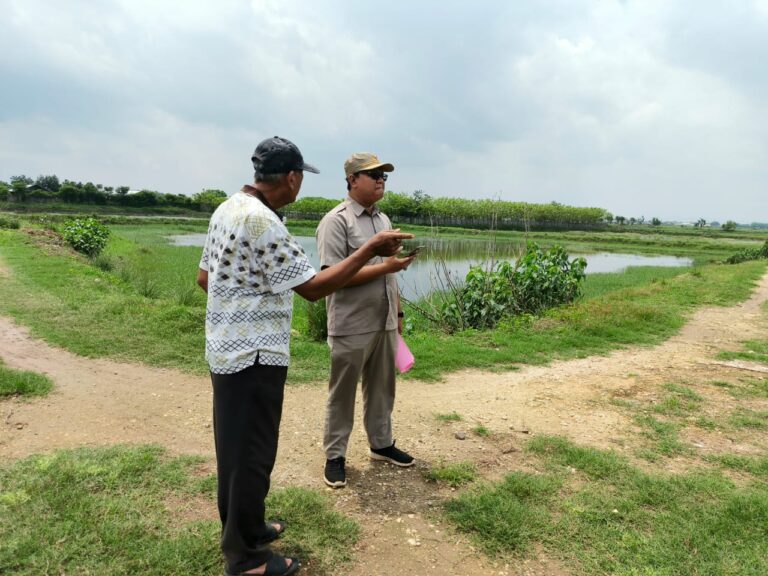 Tim Pertimbangan Teknis Pertanahan BPN Pati Laksanakan Peninjauan Lapang di Desa Doropayung