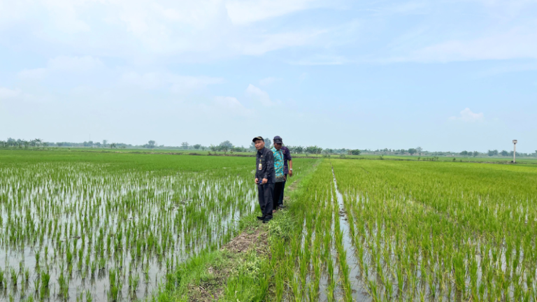 Hari kedua Pendataan Awal Lokasi Rencana Pembangunan SUTT 150 kV Pati-Pati II/Trangkil pada 15 Mei 2025