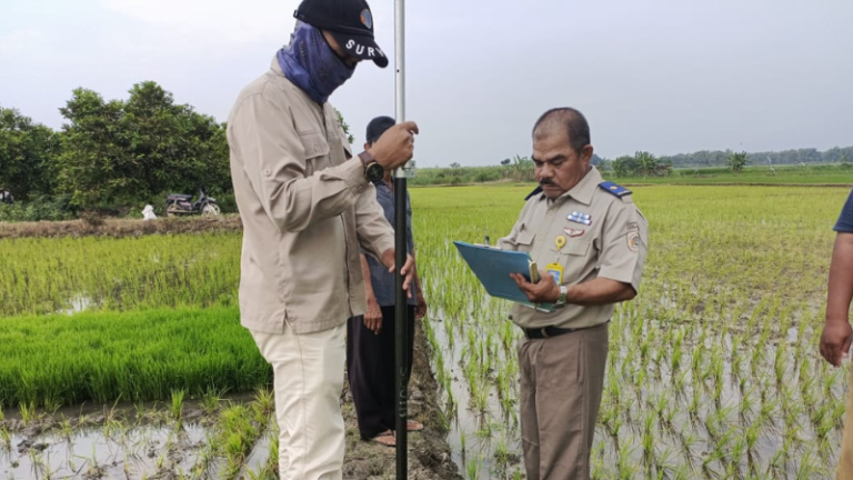 Pengukuran Bidang Tanah di Desa Mintobasuki, Gabus Telah Dilaksanakan Pada 14 Juli 2025