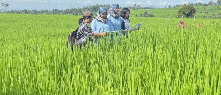 Dukung Ketahanan Pangan Direktorat Jenderal Penataan Agraria Melakukan Veridfikasi dan Validasi Neraca Penatgunaan Tanah di Provinsi Bali\