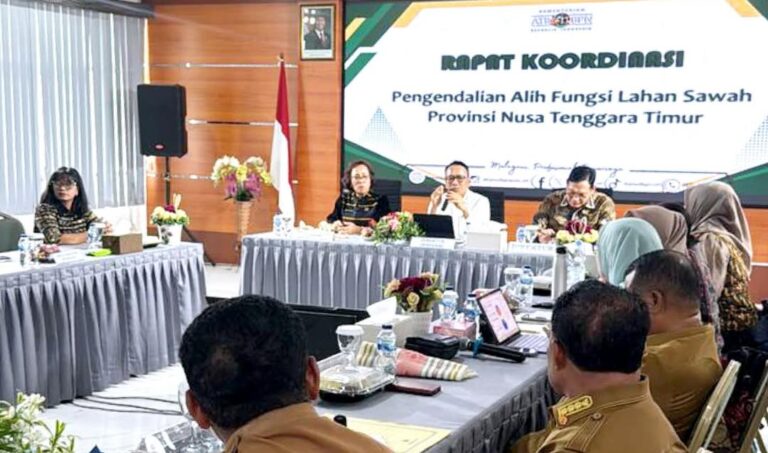 ​Dirjen PPTR Kementerian ATR/BPN Percepat Perlindungan Lahan Sawah di NTT