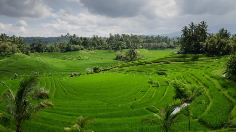 Lampaui Target, LP2B Capai 87,63% di Momen Peringatan 66 Tahun UUPA